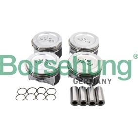 Kolben von Borsehung
