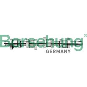 Compre Árvore de cames da Borsehung B17861 a um preço baixo por 173,51 €