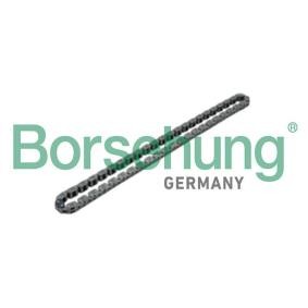 Achetez des Chaîne de pompe à huile Borsehung B17905 à prix pour 35,40 €