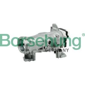 Compre Fechadura da coluna da direcção da Borsehung B17985 a um preço baixo por 50,81 €