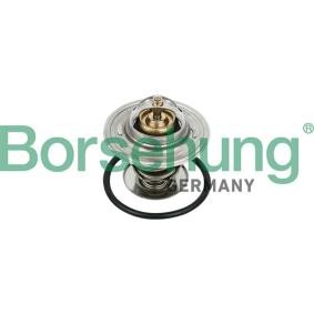 Køb Termostat, kølemiddel af Borsehung B18231 til den lave pris 121,07 DKK