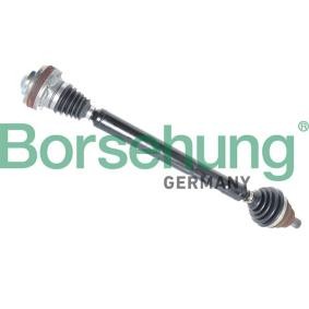Antriebswelle von Borsehung