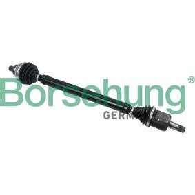 Antriebswelle von Borsehung