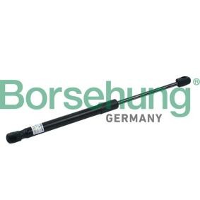 VOLKSWAGEN Heckklappendämpfer von Borsehung