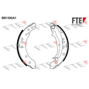 Bremsbackensatz von FTE