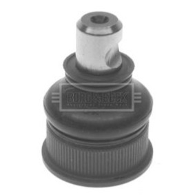 Acquista Testina braccio oscillante da BORG & BECK BBJ5258 a buon mercato per soli 13,41 €