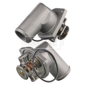 Achetez des Thermostat d'eau BORG & BECK BBT134 à prix pour 22,85 €