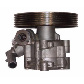 Servopumpe BCT51Z von WAT günstig für 137998,79 € online kaufen