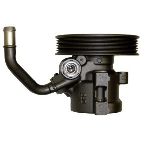 Servopumpe BCV55S