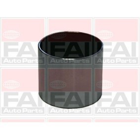 Ventilführung BFG016