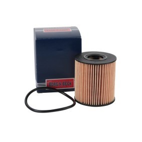 Ölfilter für FIAT von BORG & BECK