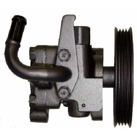 Servopumpe BHU61Y