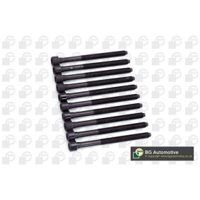 Zylinderkopfschraubensatz von BGA