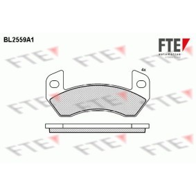 Comprar Juego de pastillas de freno de FTE BL2559A1 a bajo precio de 42,56 €