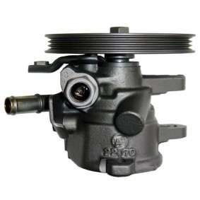 Servopumpe BLX51T