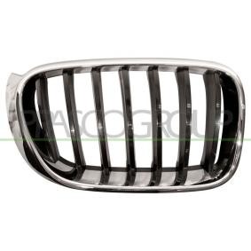 Kühlergrill BM8062003