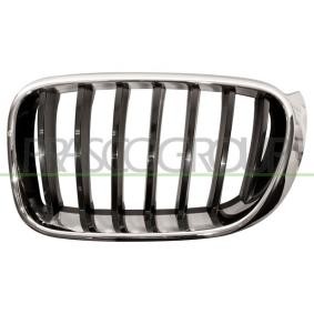 Kühlergrill BM8062004