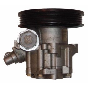 Servopumpe BNS52Z