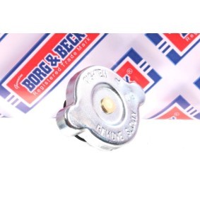 Kühlerdeckel BRC74