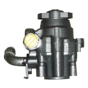 Servopumpe BRV50H