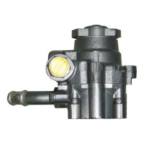 Servopumpe BRV55H