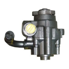 Servopumpe BRV60H