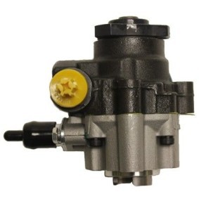 Servopumpe BRV66H