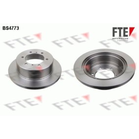 Bremsscheibe von FTE