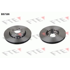 Bremsscheibe von FTE