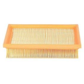 Comprar Filtro de aire de BSG BSG 15-135-001 a bajo precio de 32,39 €