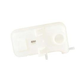 Osta Nestesäiliö, jäähdytysneste BSG:llä BSG 16-550-005 edullisesti hintaan 61,55 €