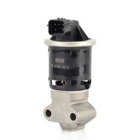 Comprar Válvula EGR de BSG BSG 16-836-001 a bajo precio de 118,25 €