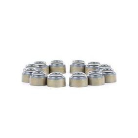 Comprar Juego de juntas, vástago de válvula de BSG BSG 30-116-101 a bajo precio de 28,23 €