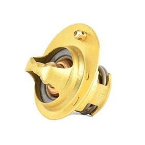 Achetez des Thermostat d'eau BSG BSG 30-125-017 à prix pour 30,66 €