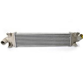 Comprar Intercooler de BSG BSG 30-535-003 a bajo precio de 139,36 €