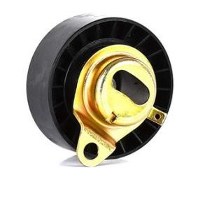 Acquista Rullo tenditore, cinghia dentata da BSG BSG 30-615-001 a buon mercato per soli 46,61 €