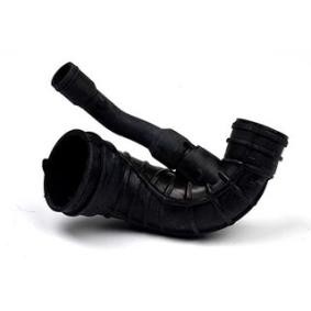 Comprar Tubo flexible de aspiración, filtro de aire de BSG BSG 30-720-045 a bajo precio de 43,12 €