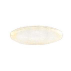 Blinker BSG 30-810-021