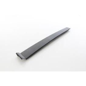 Zier- / Schutzleiste, Türscheibe BSG 30-925-001