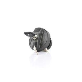 Compre Fecho, recipiente de combustível da BSG BSG 30-971-008 a um preço baixo por 41,43 €