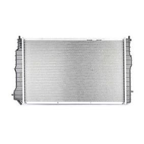 Achetez des Radiateur du moteur BSG BSG 65-520-017 à prix pour 165,45 €