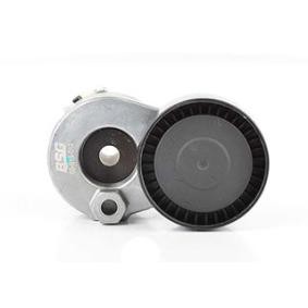 Compre Rolo tensor, correia trapezoidal estriada da BSG BSG 65-615-012 a um preço baixo por 64,61 €