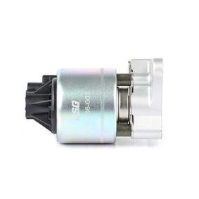 Comprar Válvula EGR de BSG BSG 65-836-003 a bajo precio de 95,54 €