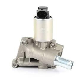 Comprar Válvula EGR de BSG BSG 65-836-006 a bajo precio de 123,47 €