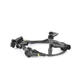 Acquista Kit cavi candele da BSG BSG 65-839-004 a buon mercato per soli 56,24 €