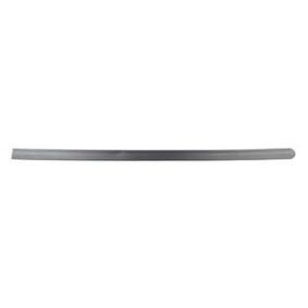 Zierleiste für die Tür BSG 65-924-017 von BSG günstig für 35,74 € online kaufen