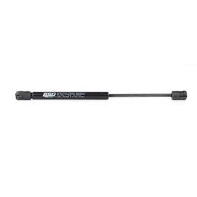Achetez des Vérin de coffre BSG BSG 65-980-006 à prix pour 30,43 €