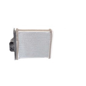 Bremsscheibe BSG 70-210-002 für MEGA