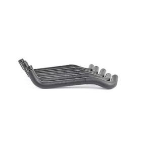 Compre Tubo flexível do radiador da BSG BSG 70-720-034 a um preço baixo por 38,18 €