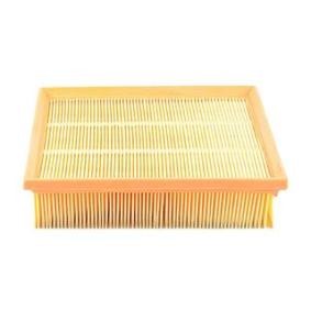 Köp Luftfilter av BSG BSG 90-135-002 till det låga priset 431,87 kr